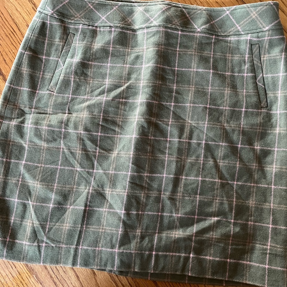Talbots will skirt size 18 green and pink